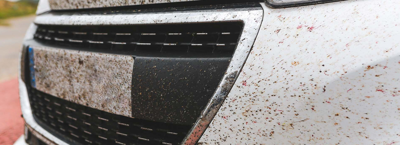 Vliegen van je auto verwijderen. Zo doe je dat veilig